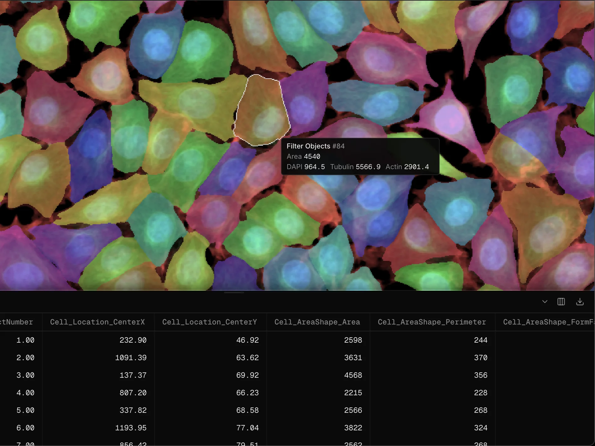 Segmented cell image with one object highlighted and per-object feature table below